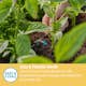 Droppspridare Gardena Micro-Drip Inline 2 l/h