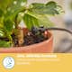 Bevattningsset Gardena Micro-Drip Balkong