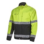 Jacka L.Brador 204PB