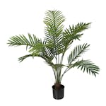 Konstväxt Fröken Fräken Palm Grön