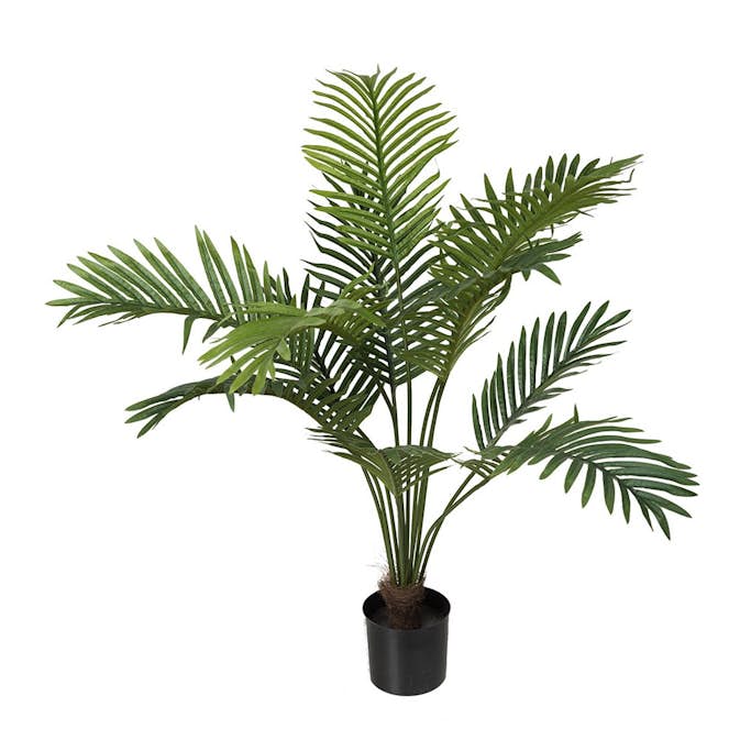Konstväxt Fröken Fräken Palm Grön