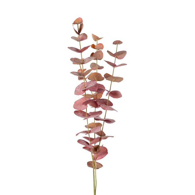 Konstväxt Fröken Fräken Eucalyptus 60 cm