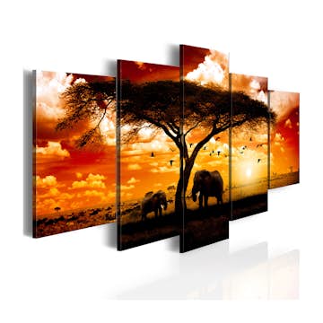 Tavla Arkiio Flock Fåglar Över Savannen