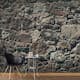 Fototapet Arkiio Självhäftande Stony Curtain