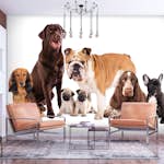 Fototapet Arkiio Dog Integration