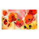 Fototapet XXL Arkiio Velvet poppies 500x280 cm