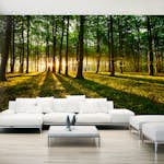 Fototapet XXL Arkiio Mystical Morning II 500x280 cm