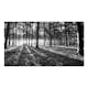 Fototapet Arkiio Självhäftande Grey Wilderness II 490x280