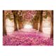 Fototapet Arkiio Självhäftande Pink Grove