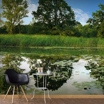 Fototapet Arkiio Självhäftande The Magic Pond III 588x280