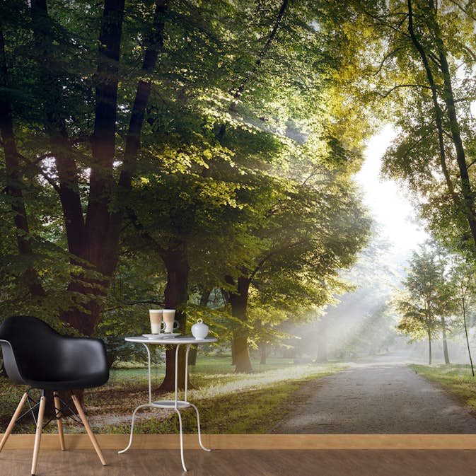 Fototapet Arkiio Självhäftande Morning Walk III 588x280