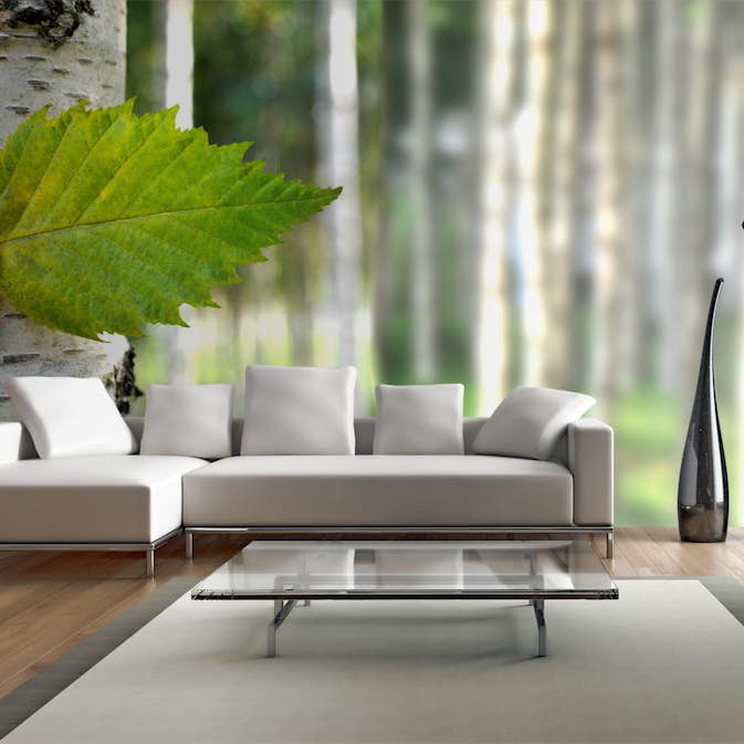 Fototapet XXL Arkiio Björklöv 550x270 cm