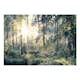 Fototapet Arkiio Självhäftande Tales Of A Forest