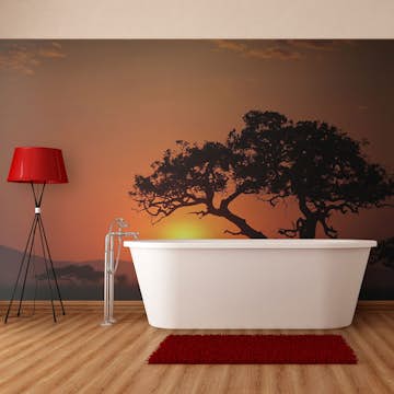 Fototapet Arkiio Afrika: Solnedgång