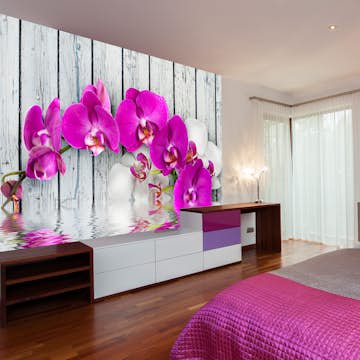 Fototapet Arkiio Violet Orchids With Water Re