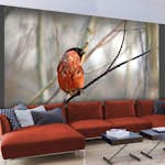 Fototapet Arkiio Bullfinch In The Forest