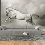 Fototapet Arkiio Wild Hingst