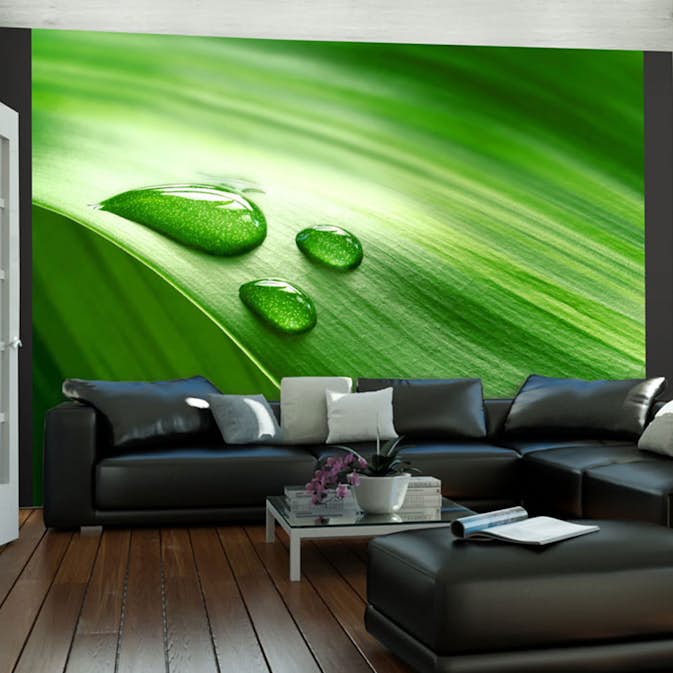 Fototapet Arkiio Leaf Och Tre Droppar Vatten