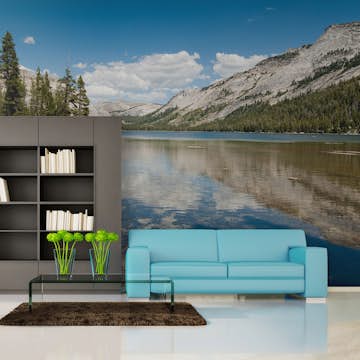 Fototapet Arkiio Tenaya Lake Yosemite National Park