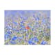 Fototapet Arkiio En Sky Färgad Äng Cornflowers