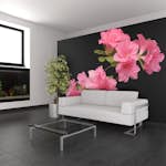 Fototapet Arkiio Azalea In Black