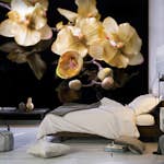 Fototapet Arkiio Orchids In Ecru Color