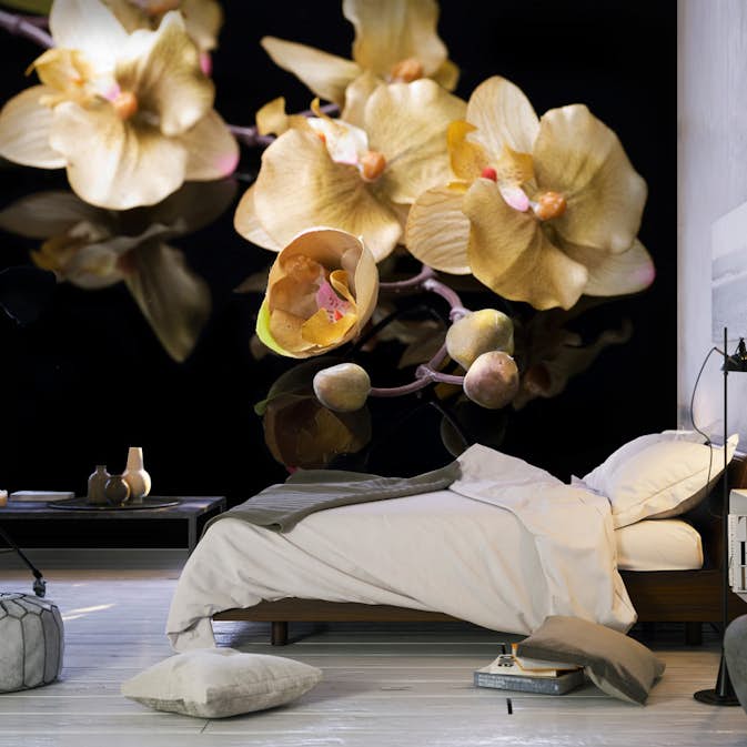Fototapet Arkiio Orchids In Ecru Color