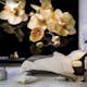Fototapet Arkiio Orchids In Ecru Color