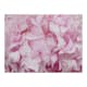 Fototapet Arkiio Azalea Pink