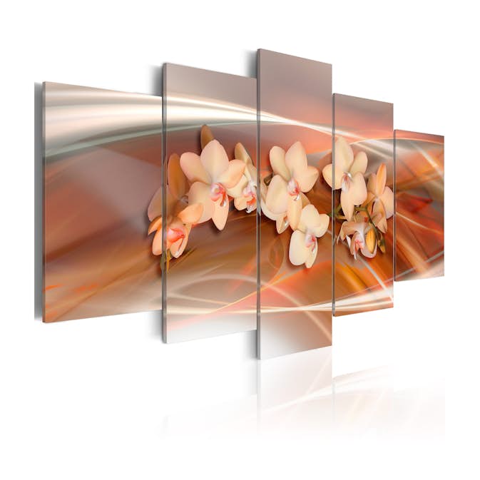 Tavla Arkiio An Orchid In Grey Shades