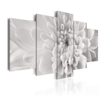 Tavla Arkiio Dahlia Flower In Grey Shades