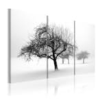 Tavla Arkiio Trees Submerged In White