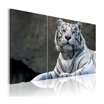 Tavla Arkiio White Tiger