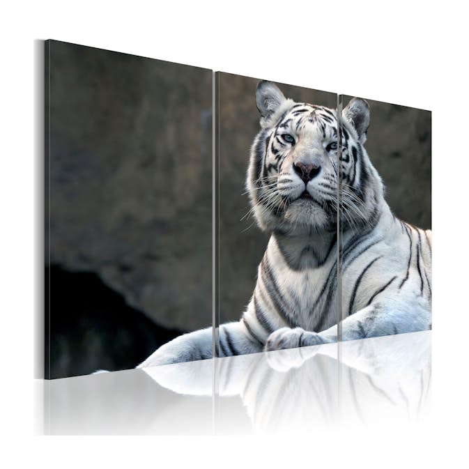 Tavla Arkiio White Tiger