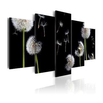 Tavla Arkiio Dandelion Towards Freedom