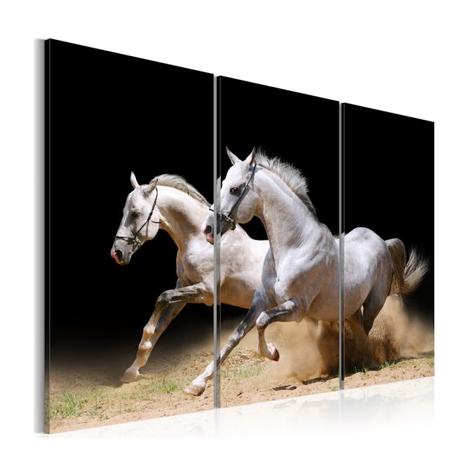 Tavla Arkiio Horses Power And Velocity