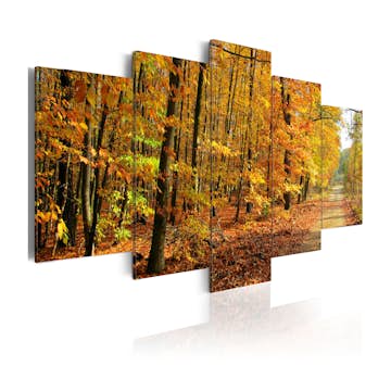 Tavla Arkiio An Alley Among Colorful Leaves