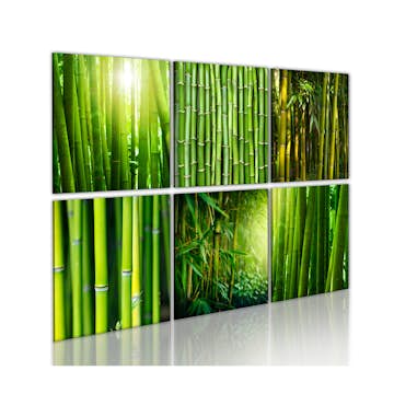 Tavla Arkiio Bamboo Has Many Faces