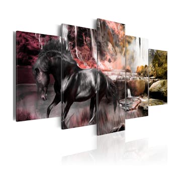 Tavla Arkiio Black Horse On Crimson Sky Background