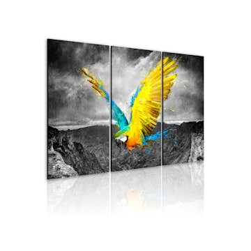 Tavla Arkiio Fågel Av Paradis