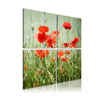 Tavla Arkiio Springtime