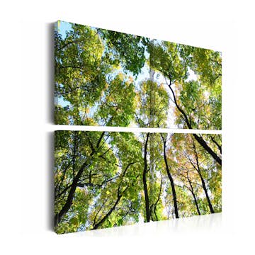 Tavla Arkiio Treetops