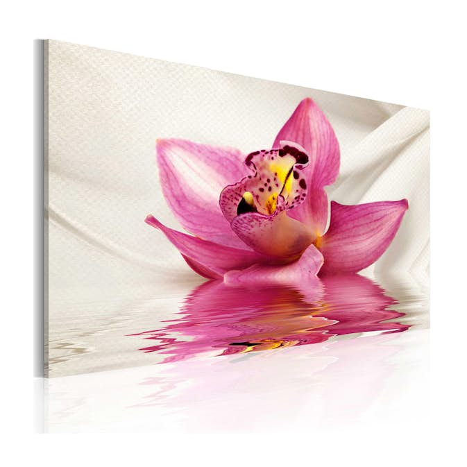 Tavla Arkiio Unusual Orchid 60x40