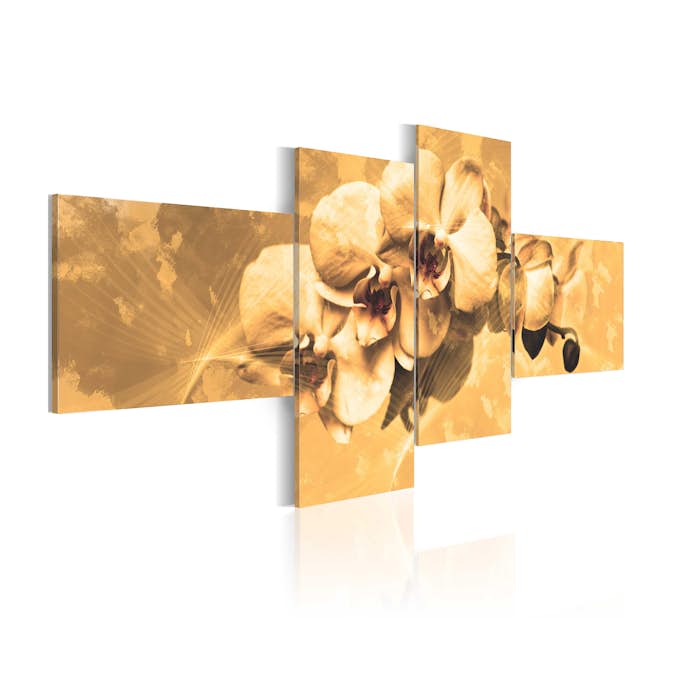 Tavla Arkiio Orkidéer I Sepia