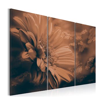 Tavla Arkiio Intangible Beauty