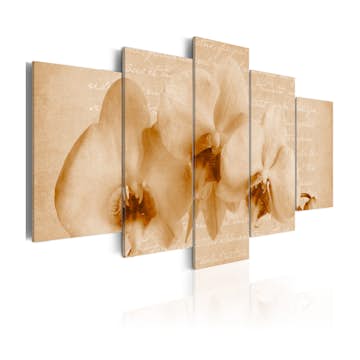 Tavla Arkiio Orkidéer