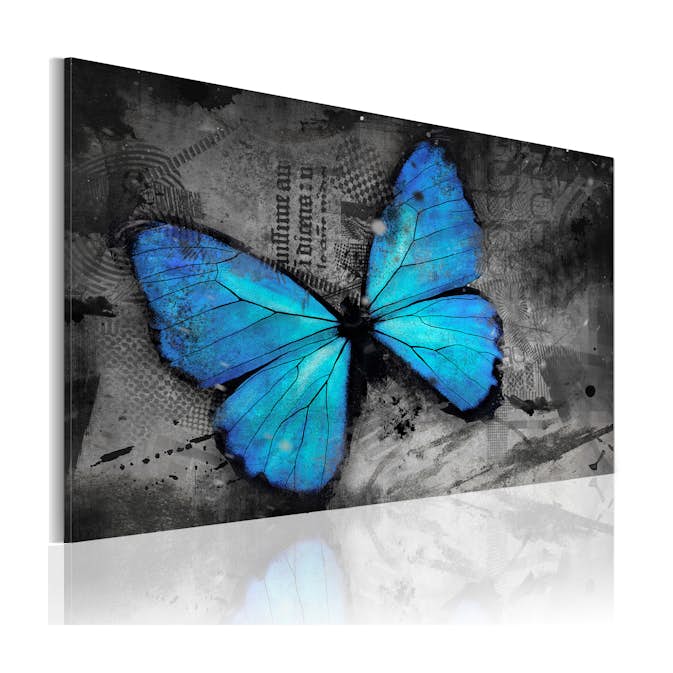 Tavla Arkiio The Study Of Butterfly