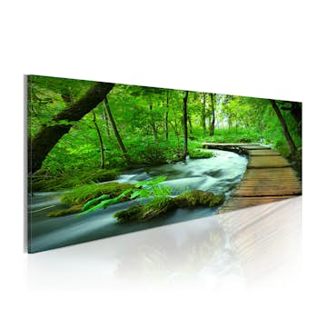 Tavla Arkiio Forest Broadwalk