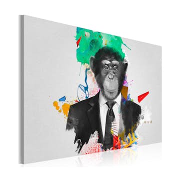 Tavla Arkiio Mr Monkey