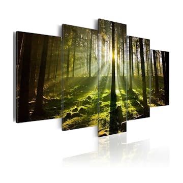 Tavla Arkiio Spring Silence